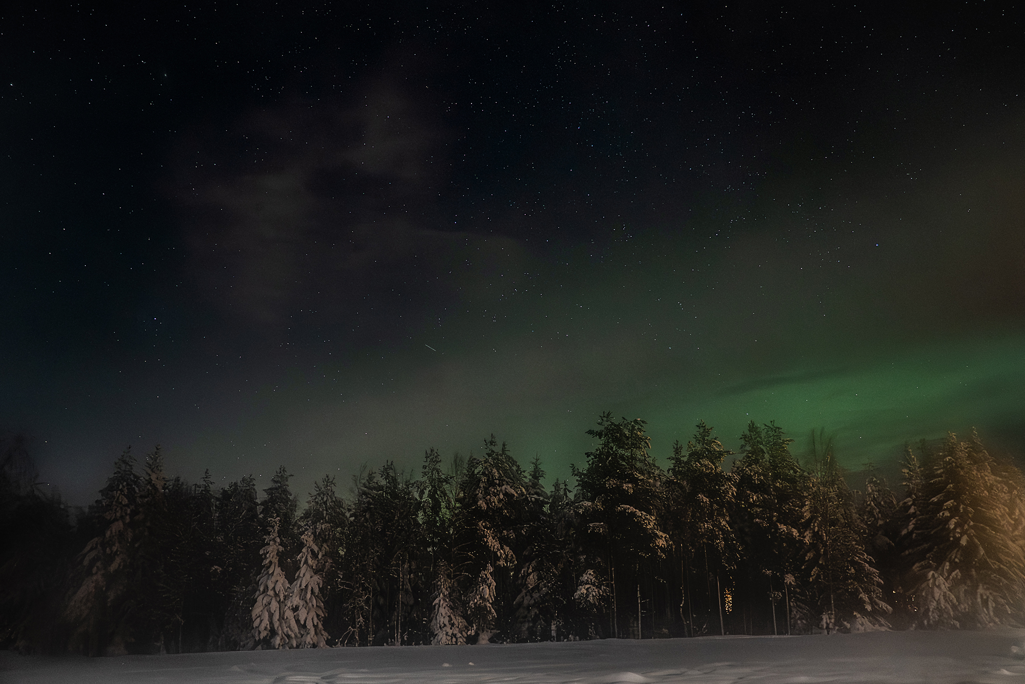 artystyczna fotografia przyrodnicza z zorzą polarną na gwieździstym niebie